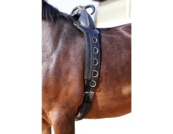Barefoot® Lunging / Therapy Harness with Handle-XXL-Pony