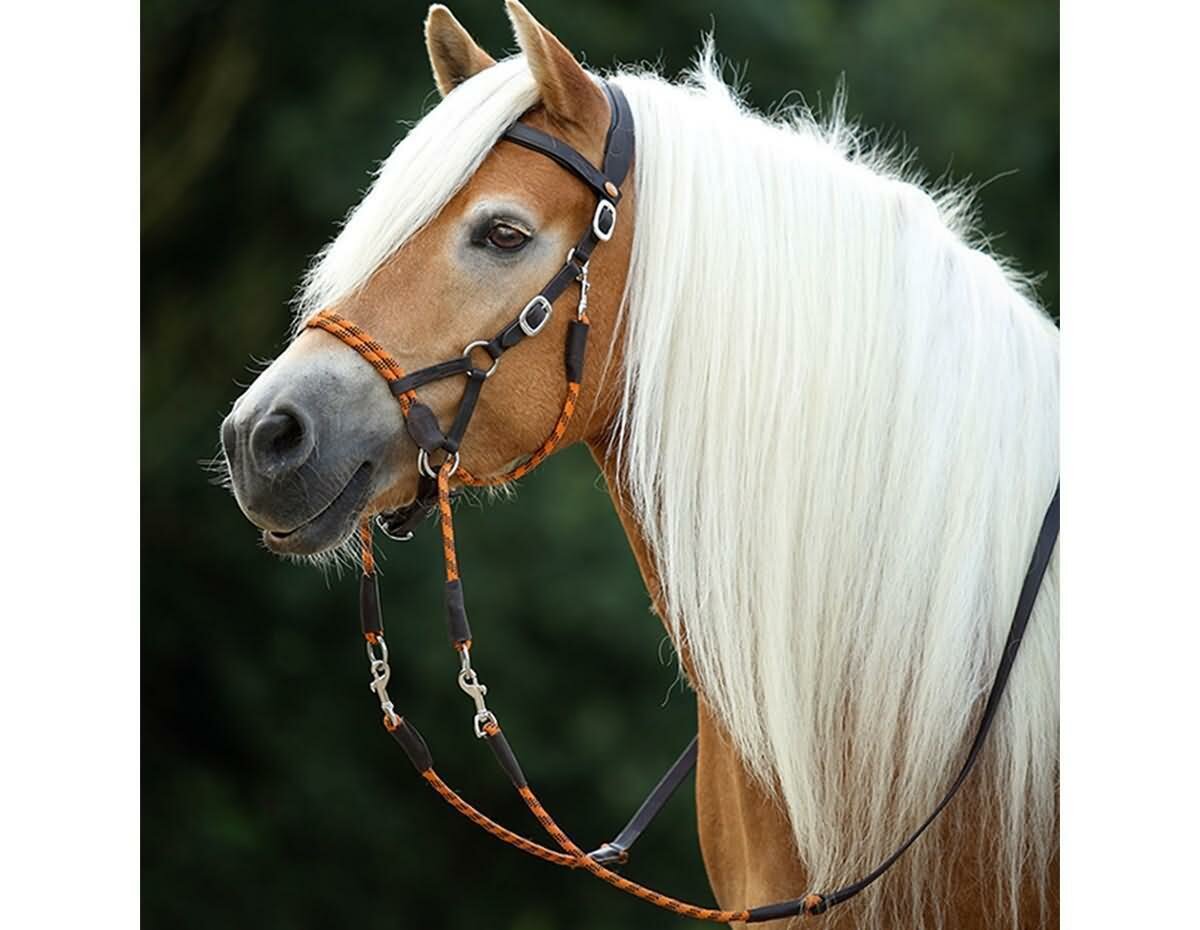 BAREFOOT SIDEPULL SYRINGA BITLESS deals BRIDLE & ZÜGEL IN BRAUN-ORANGE