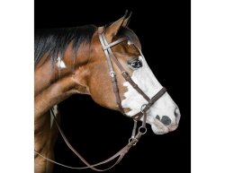 Bitless Bridle Beta - Das Original von Dr. R. Cook