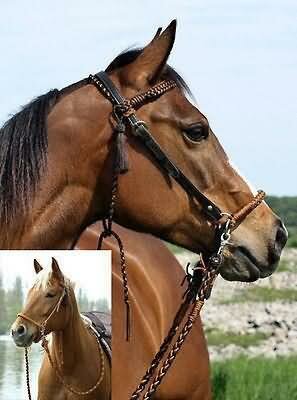 BAREFOOT Bitless Bridle Amber Sidepull 2in1 Bitless Bridle Cob/Full B