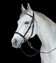 BITLESS BRIDLE Western Style black Cob