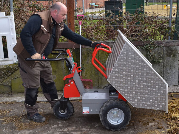 KNEILMANN TeMax 75 Ah Akku Dumper inkl. Versandkosten in D