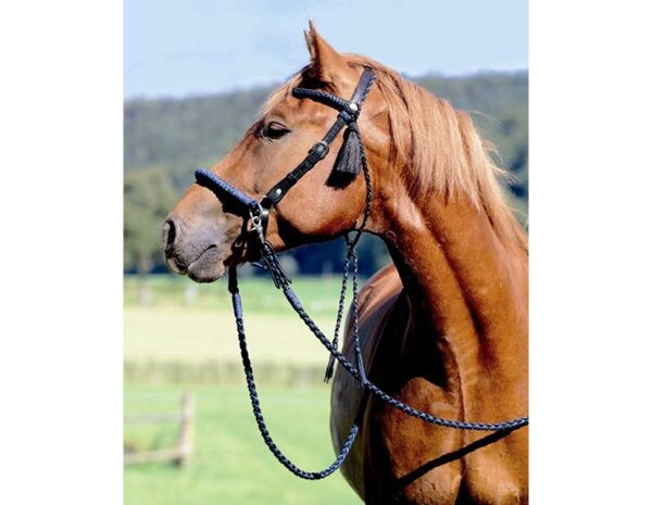 BAREFOOT SIDEPULL SYRINGA BITLESS deals BRIDLE & ZÜGEL IN BRAUN-ORANGE